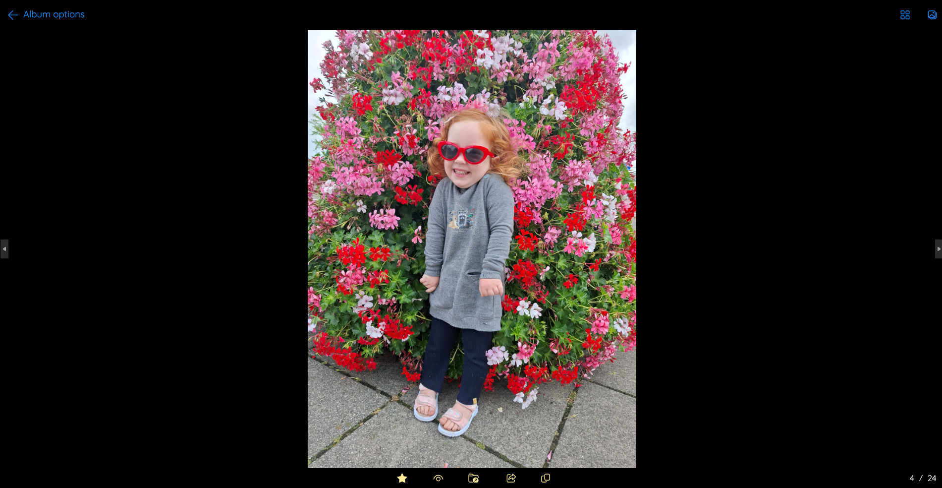 Example of the favorites flipview where you can browse your photos and videos one by one