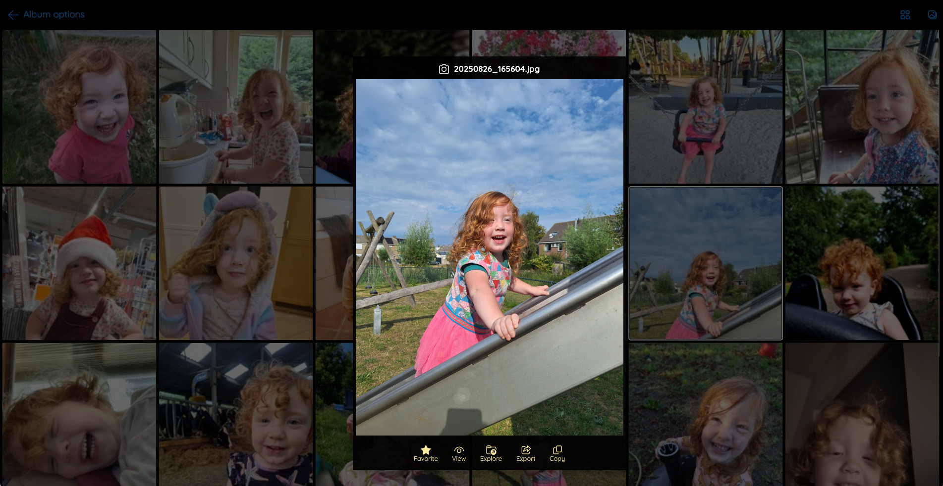 Example of the favorites overview with a flyout showing the actions you can initiatiate on the image, like: copy, export, toggle favorite, etc